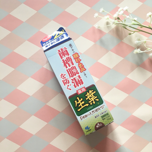 预防牙周炎天然成分温和型牙膏 kobayashi 小林制药