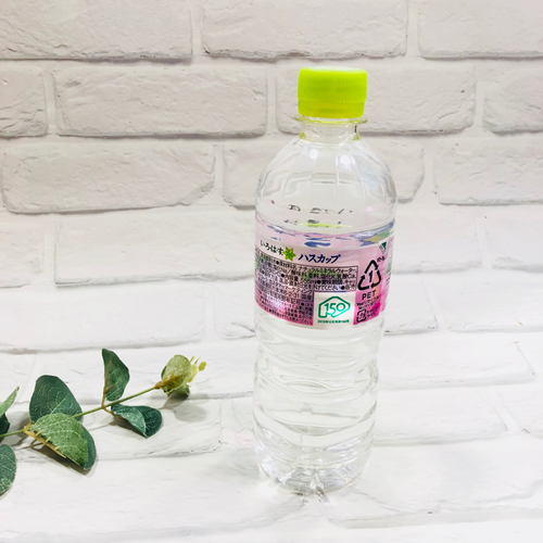 北海道限定蓝靛果味饮料 coca cola 可口可乐